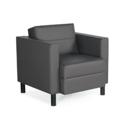 Citi 7875- Lounge Chair In Leather