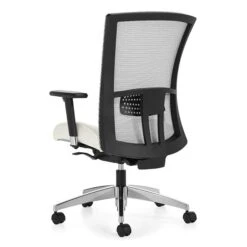 Vion 6321-3 - Ergonomic Office Chair With Mesh Back -Cheap Ugoburo Store dfe 6321 8 ul27 regback 1 1