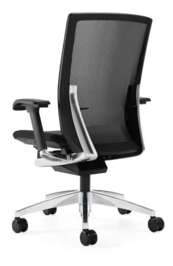G20 Ergonomic Office Chair With Mesh - 6007 -Cheap Ugoburo Store dfe g 20 regback med