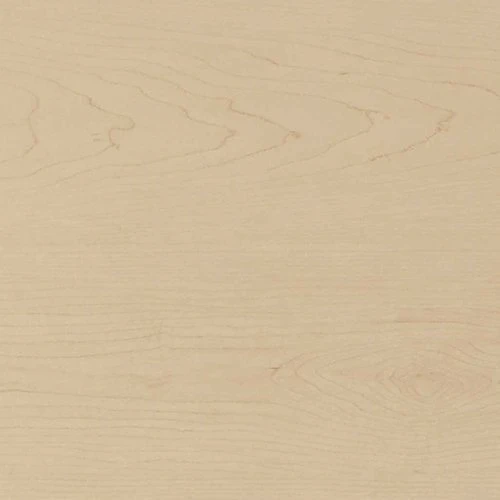 Round Conference - Meeting Laminate Table - Concept 400E Round Conference - Meeting Laminate Table - Concept 400E -Cheap Ugoburo Store erh hard rock maple rable de montagne 7