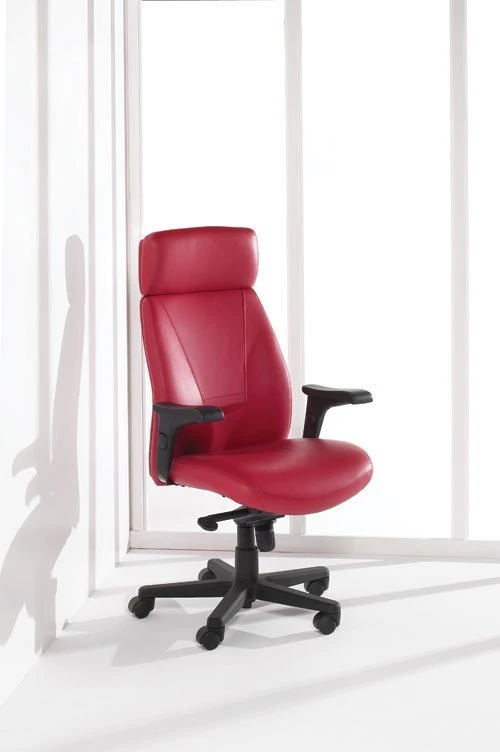 Presider 7700D Executive office chair with head rest Presider 7700D Executive Office Chair With Head Rest -Cheap Ugoburo Store presider7700d